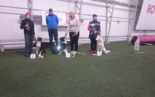 Born to Win Warrior Danger from Agility Competition 19