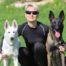 Belgian Malinois versus White Shepherd Which Dog Breed is Better for Me