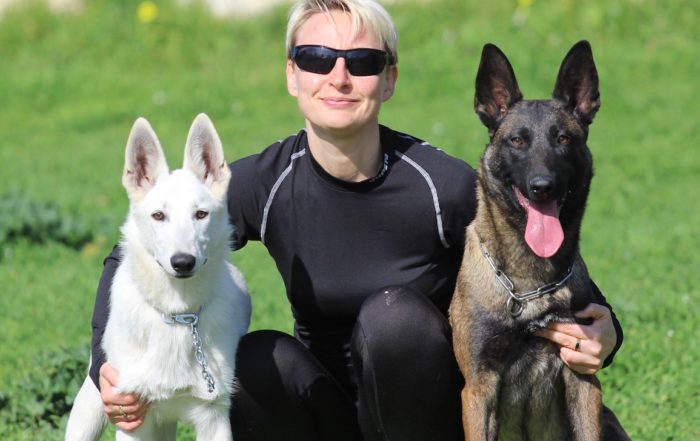 Belgian Malinois versus White Shepherd Which Dog Breed is Better for Me