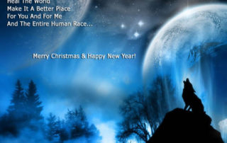 Merry Christmas and Happy New Year 2011-2012! 8
