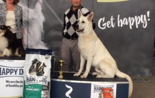 Born to Win Warrior Hellraiser in Lithuania Dog Show Kauno ruduo 2017-BOB,CAC,N,BEST IN GROUP -3 29
