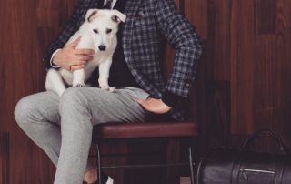 White Shepherd Puppy BTWW Zlatan got into Celebrity News 50