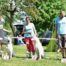 Born to Win Warrior Yoshi CAJC in Czech Republic White Shepherd Club Specialty Show 4