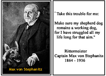 Max v. Stephanitz Quotes - The Father of German Shepherd Dog 1