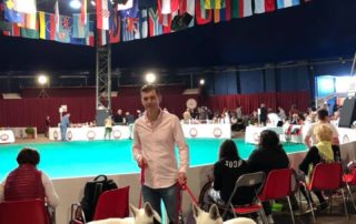 Monaco Dog Show all White Swiss Shepherds and Malinois dogs excellent character! 22