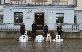 BTWW Dogs Successful in Tracking Competition 77