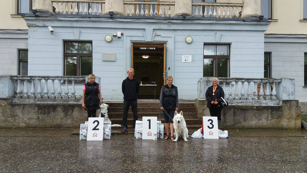 BTWW Dogs Successful in Tracking Competition 57