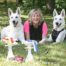 BTWW Dogs Were Successful in EVLÜ Club Winner 2018 Dog Show 3