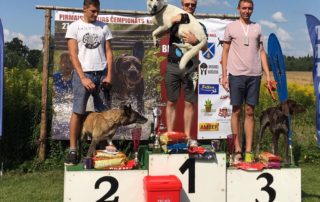 Born to Win Warrior Tyson 1 place in Latvian Championship of Canicross Obstacle Course Individual and 2 place with Team Baltosport! 36