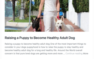 How To Raise Puppy Healthy Dog