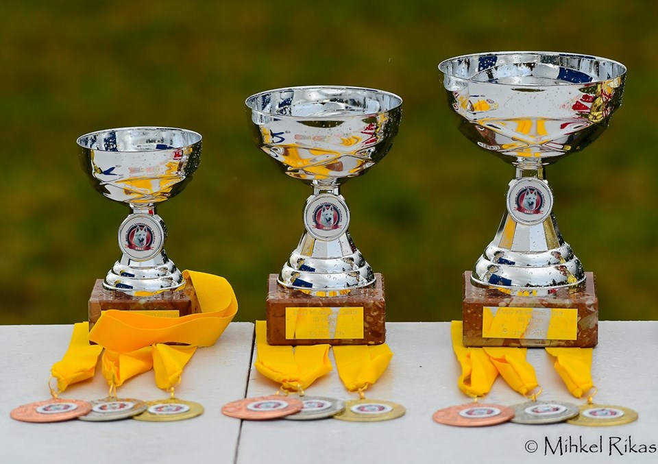 BTWW in EVLÜ Mini Cup 2019 obedience competition 25