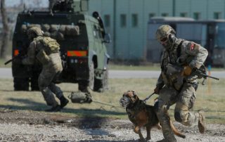 Two Belgian Malinois Military Dogs Killed a Man in Austrian Armed Forces