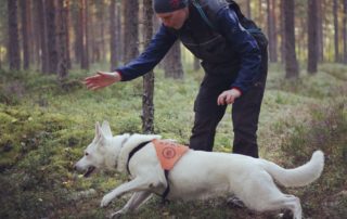 Born to Win White Oodi Search & Rescue Regional Championship Silver in Finland  12