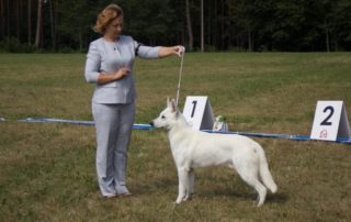 Born to Win Warrior Flavius EST CAC from Dog Show 1