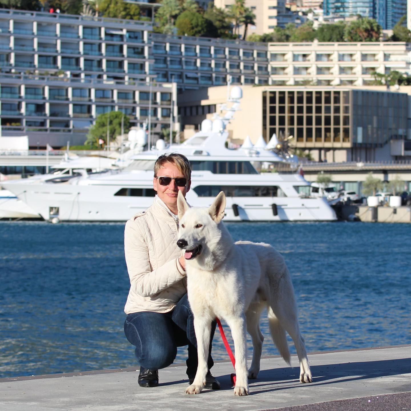 White Dog Monaco Monte-Carlo White Shepherd Born to Win White Escobar