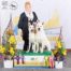 White Shepherd Puppies Dog Show