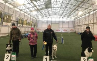 White Swiss Shepherd BTWW Cant 1 place in Agility Competition