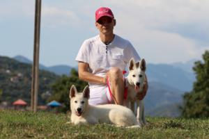 White-Swiss-Shepherd-Breeding-Male-BTWW-Wahlman-August-2018-0260