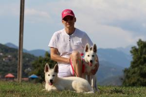 White-Swiss-Shepherd-Breeding-Male-BTWW-Wahlman-August-2018-0261