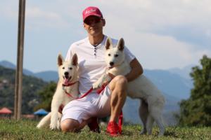 White-Swiss-Shepherd-Breeding-Male-BTWW-Wahlman-August-2018-0264