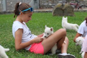 White-Swiss-Shepherd-Puppies-BTWW-GosaNostra-September-12092018-0161