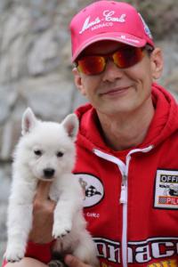 White-Swiss-Shepherd-Puppies-BTWW-GosaNostra-September-12092018-0367