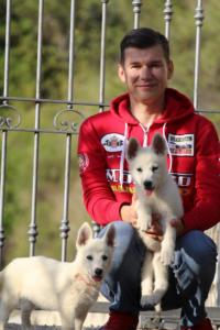 White-Swiss-Shepherd-Puppies-BTWW-GosaNostra-October-08102018-0228