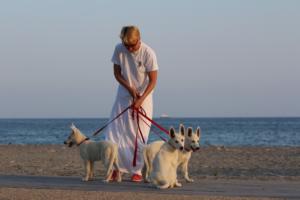 White-Swiss-Shepherd-Puppies-BTWW-N-Litter-05062019-0027