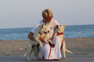 White-Swiss-Shepherd-Puppies-BTWW-N-Litter-05062019-0034